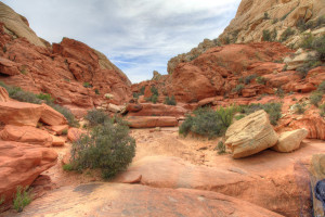 Red Rocks Calico Tanks